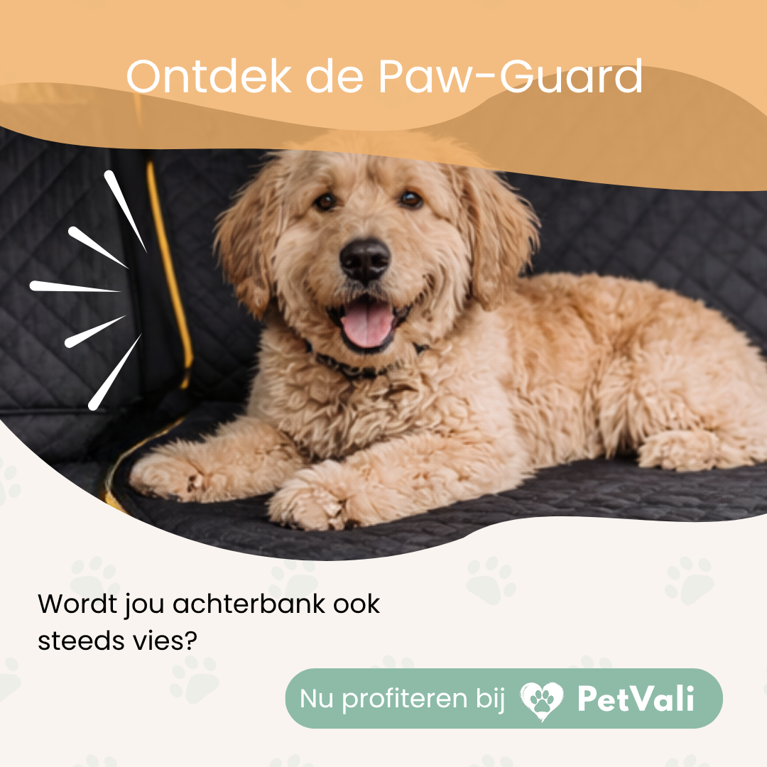 PawGuard™ | Auto Beschermer