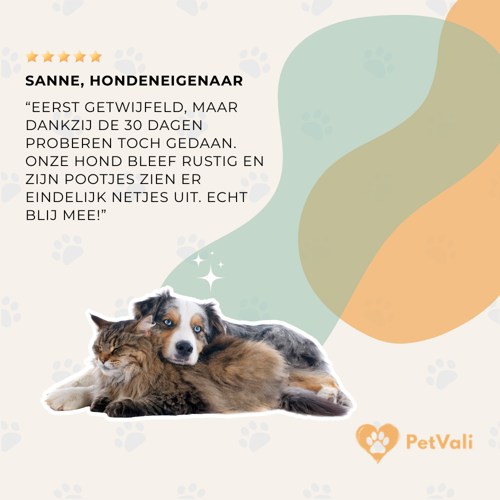 Petvali Pawsmooth Groomer | Professionele Precisie Trimmer voor Huisdieren