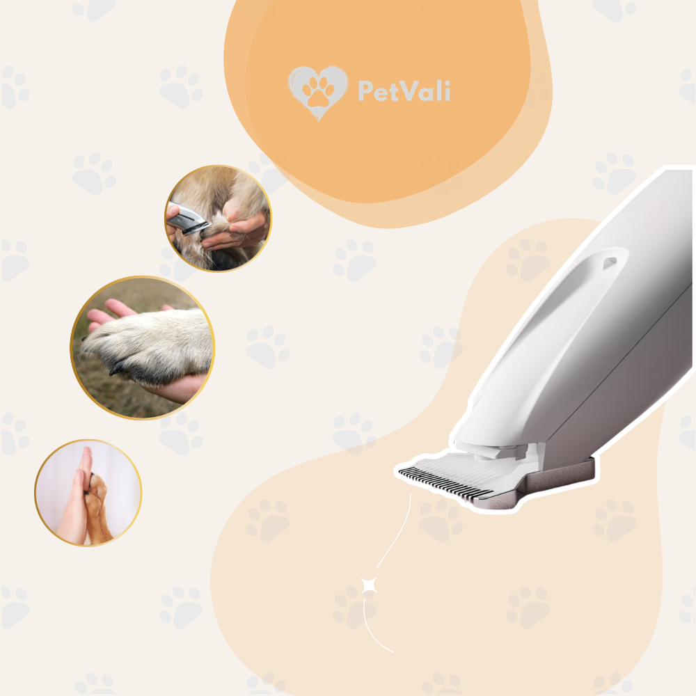 Petvali Pawsmooth Groomer | Professionele Precisie Trimmer voor Huisdieren