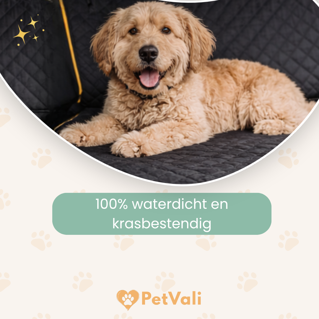PawGuard™  | Auto Beschermer