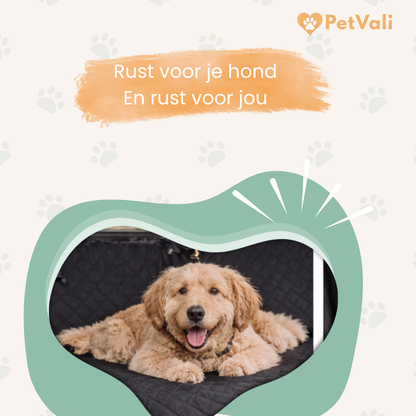 PawGuard™  | Auto Beschermer