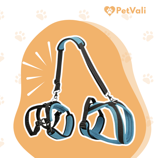 LiftEase™ |  Harnas