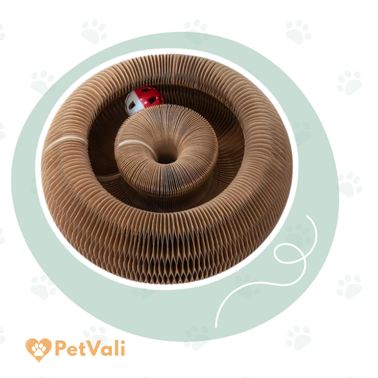 SpinPurr™  | 2-in-1  Speelcirkel & krabplank