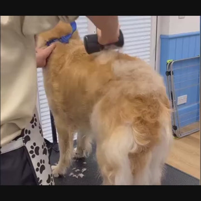 FurEase™ | Ontwarborstel voor huisdieren